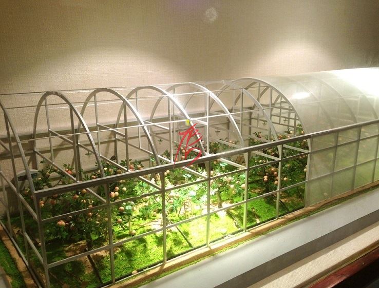 呂梁智能溫室大棚——果蔬種植區